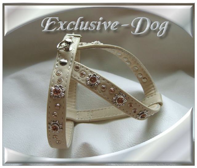 Bild vergr&ouml;&szlig;ern