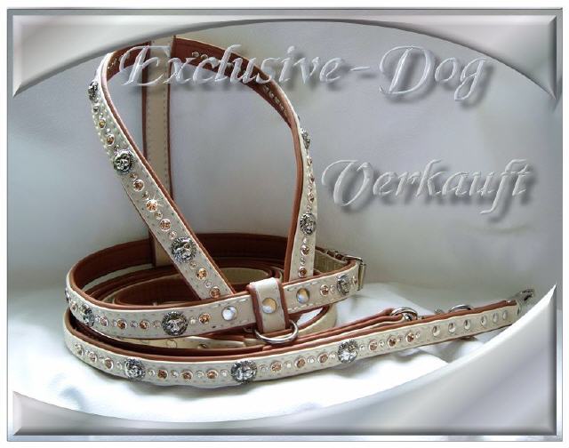 Bild vergr&ouml;&szlig;ern