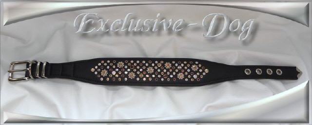 Bild vergr&ouml;&szlig;ern