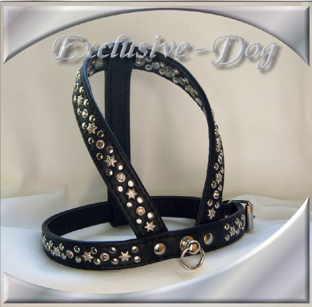 Bild vergr&ouml;&szlig;ern