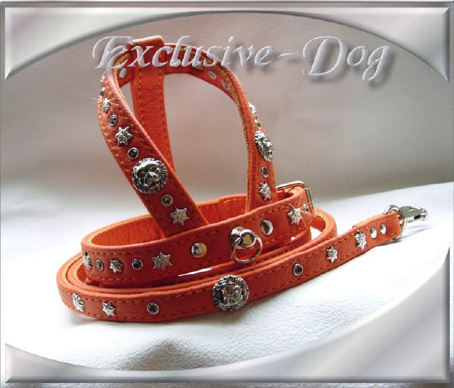 Bild vergr&ouml;&szlig;ern