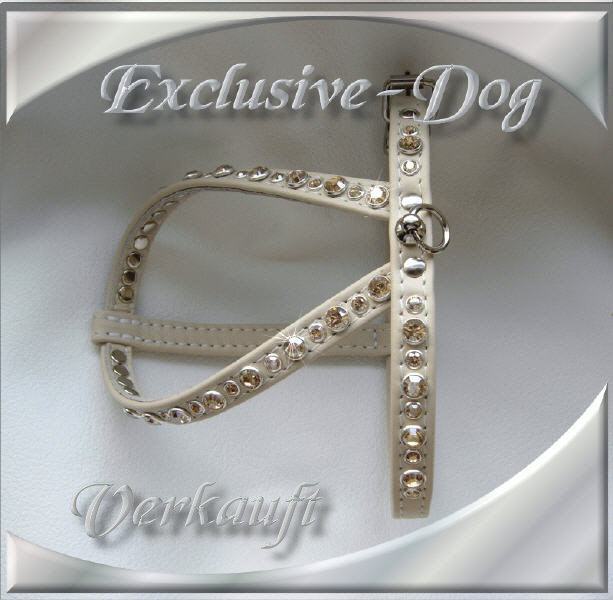 Bild vergr&ouml;&szlig;ern