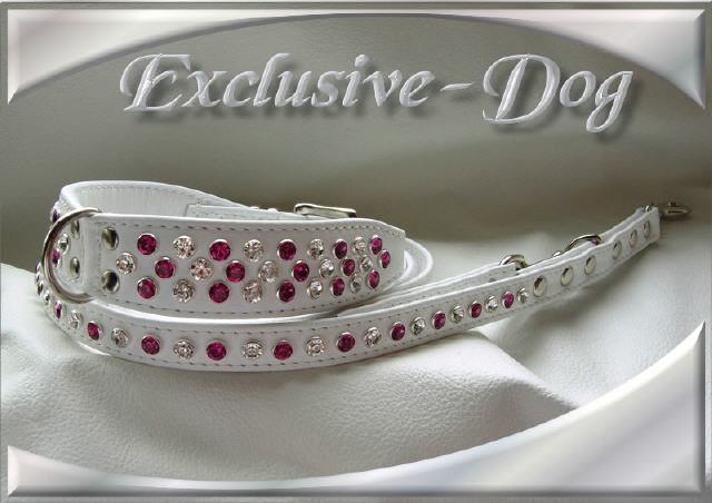 Bild vergr&ouml;&szlig;ern