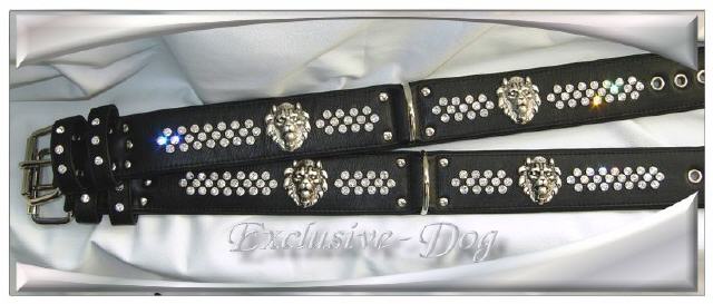 Bild vergr&ouml;&szlig;ern